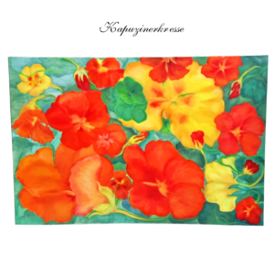 ÖLBILD  "Kapuzinerkresse"